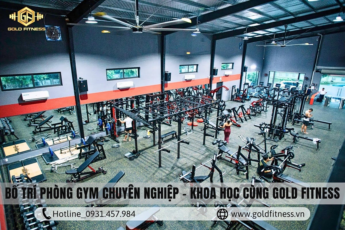 bố trí phòng gym chuyên nghiệp khoa học