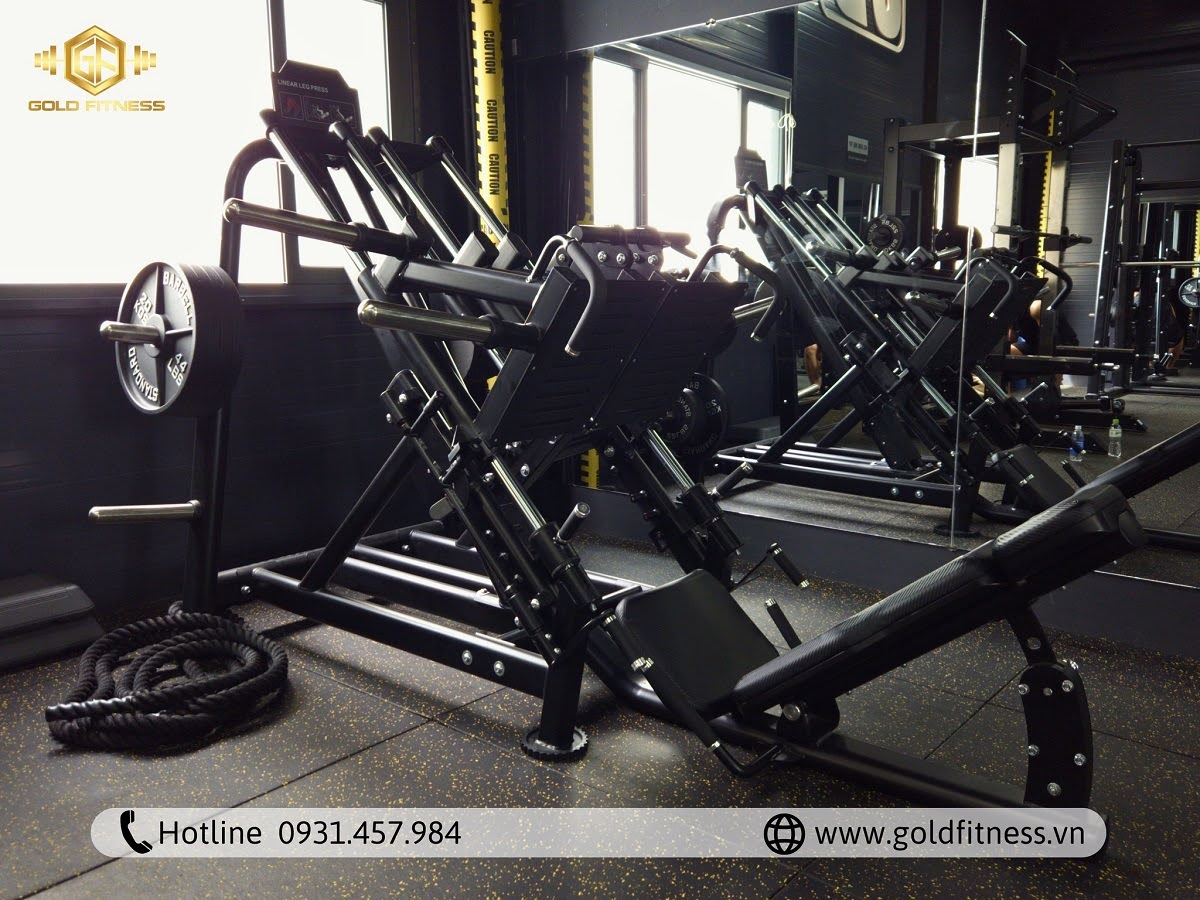 may-tap-co-dui-du-an-old-boy-gym-club-ninh-thuan may-tap-co-dui-du-an-old-boy-gym-club-ninh-thuan