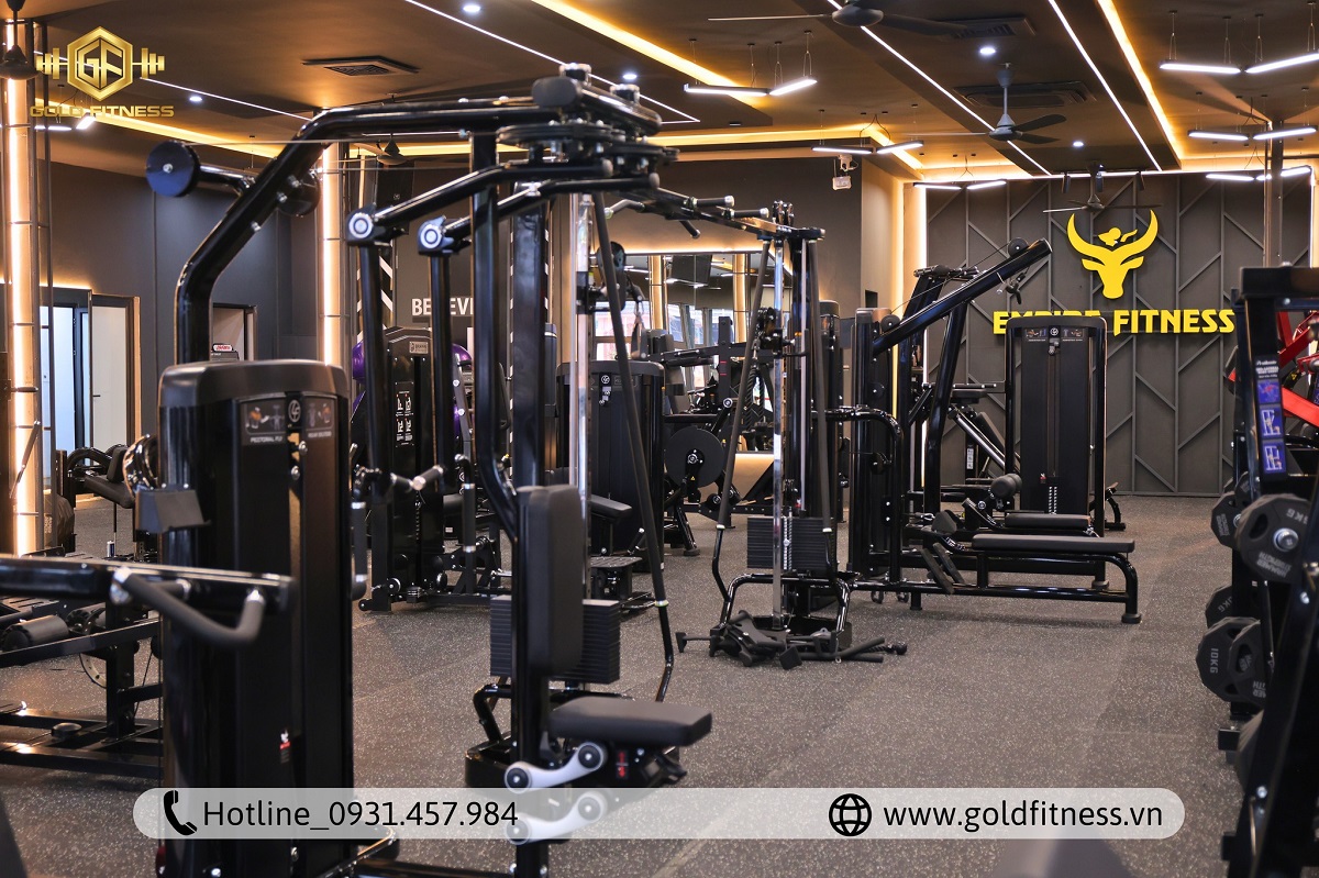 may-tap-du-an-empire-fitness-ha-tinh-1 may-tap-du-an-empire-fitness-ha-tinh-1