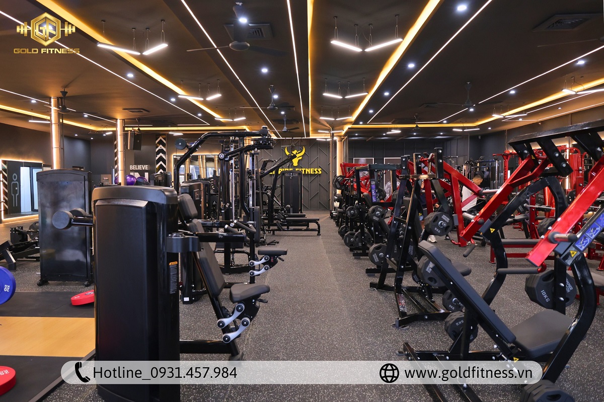 qua-trinh-thi-cong-du-an-empire-fitness-ha-tinh-tai-gold-fitness-3 qua-trinh-thi-cong-du-an-empire-fitness-ha-tinh-tai-gold-fitness-3