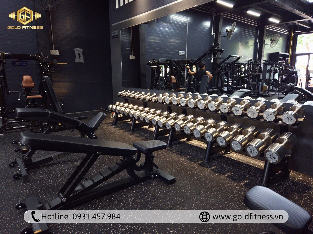 ta-don-du-an-old-boy-gym-club-ninh-thuan ta-don-du-an-old-boy-gym-club-ninh-thuan