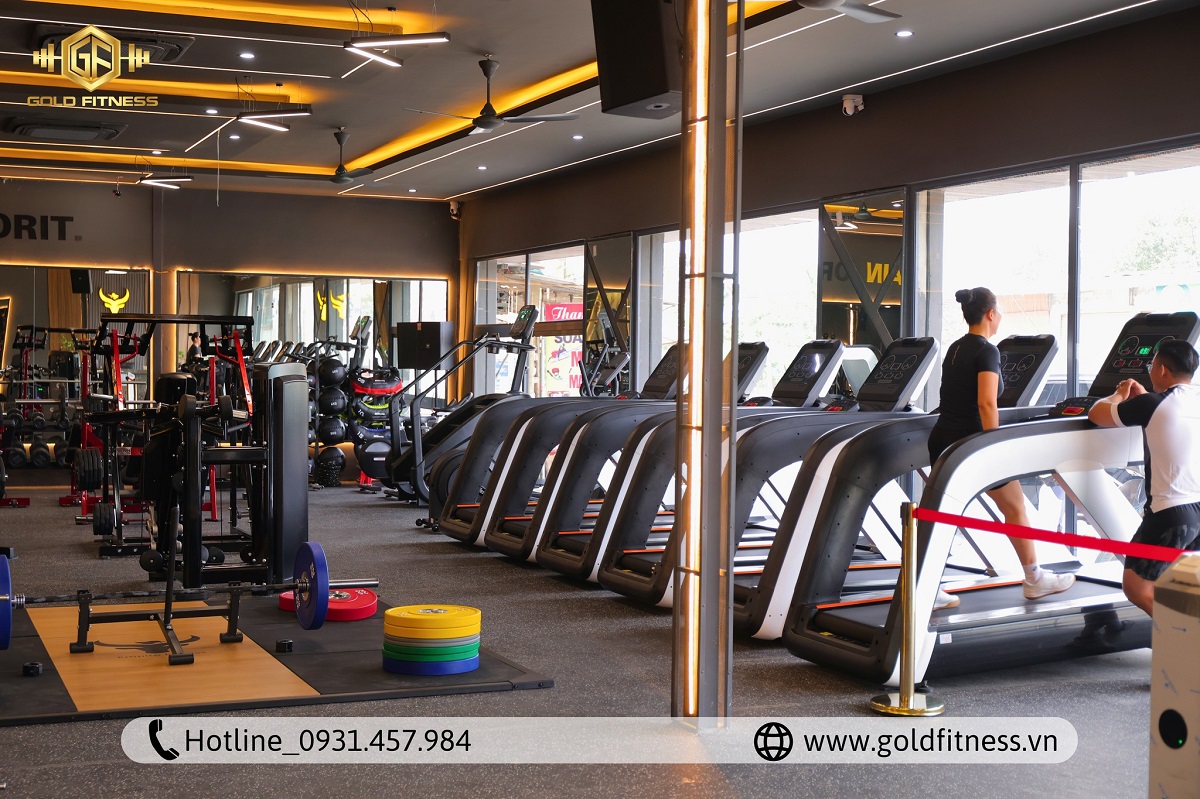 tap-luyen-du-an-empire-fitness-ha-tinh tap-luyen-du-an-empire-fitness-ha-tinh