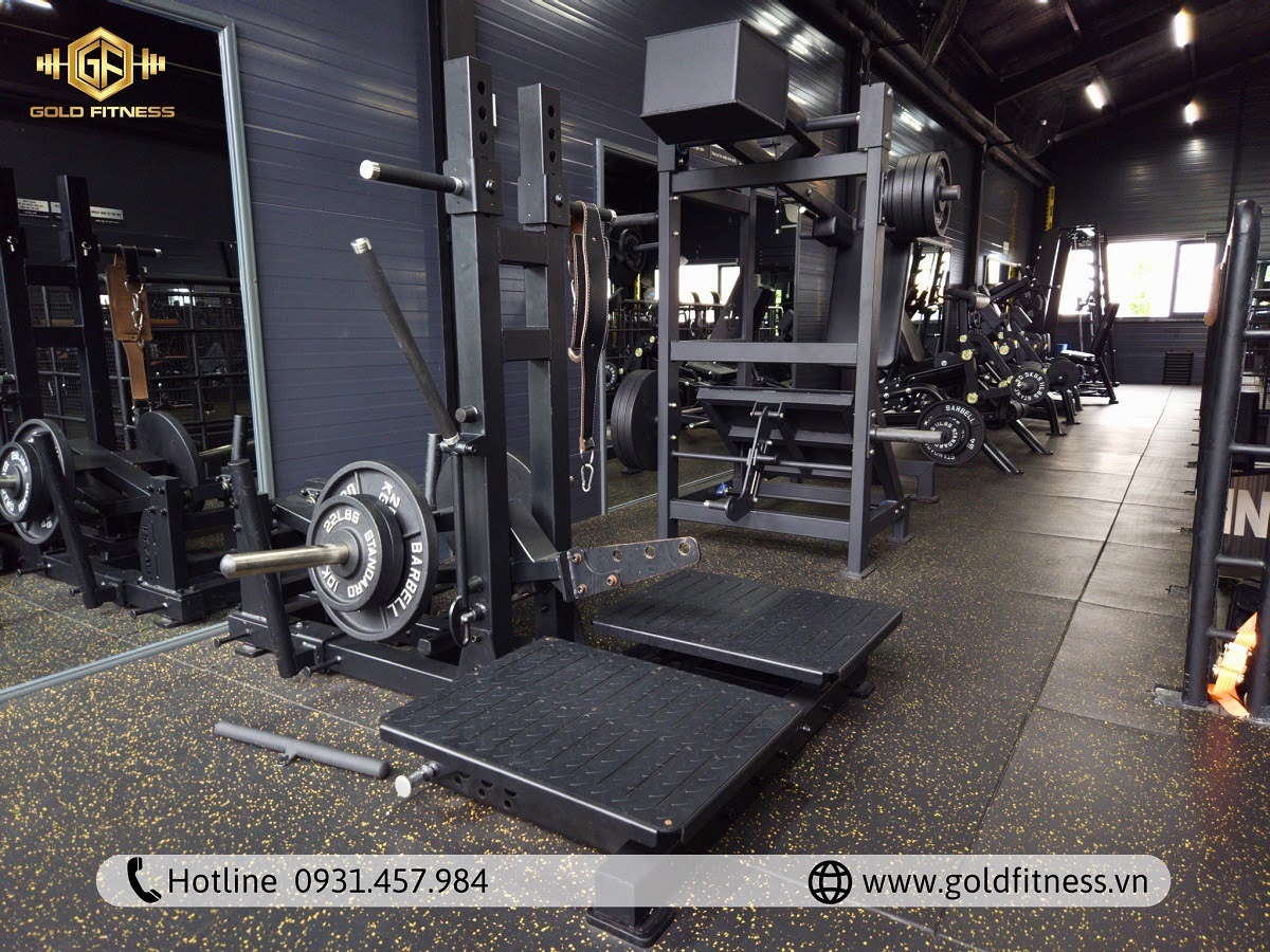thiet-bi-du-an-old-boy-gym-club-ninh-thuan thiet-bi-du-an-old-boy-gym-club-ninh-thuan