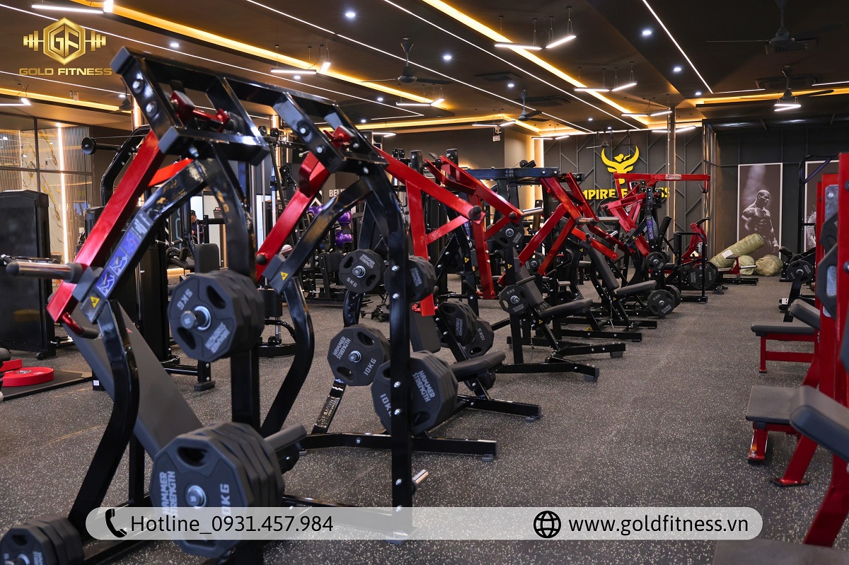 thiet-bi-hammer-du-an-empire-fitness-ha-tinh thiet-bi-hammer-du-an-empire-fitness-ha-tinh
