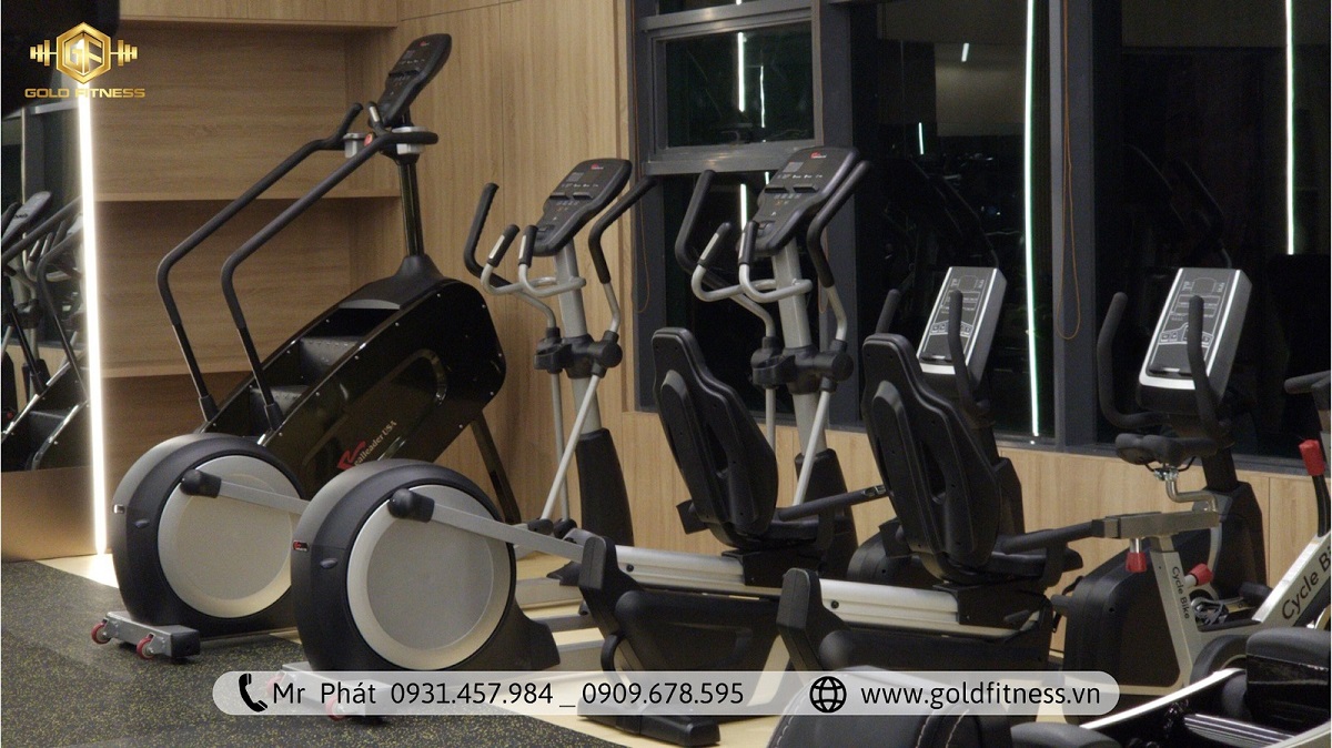 thiet-bi-gym-realleader thiet-bi-gym-realleader