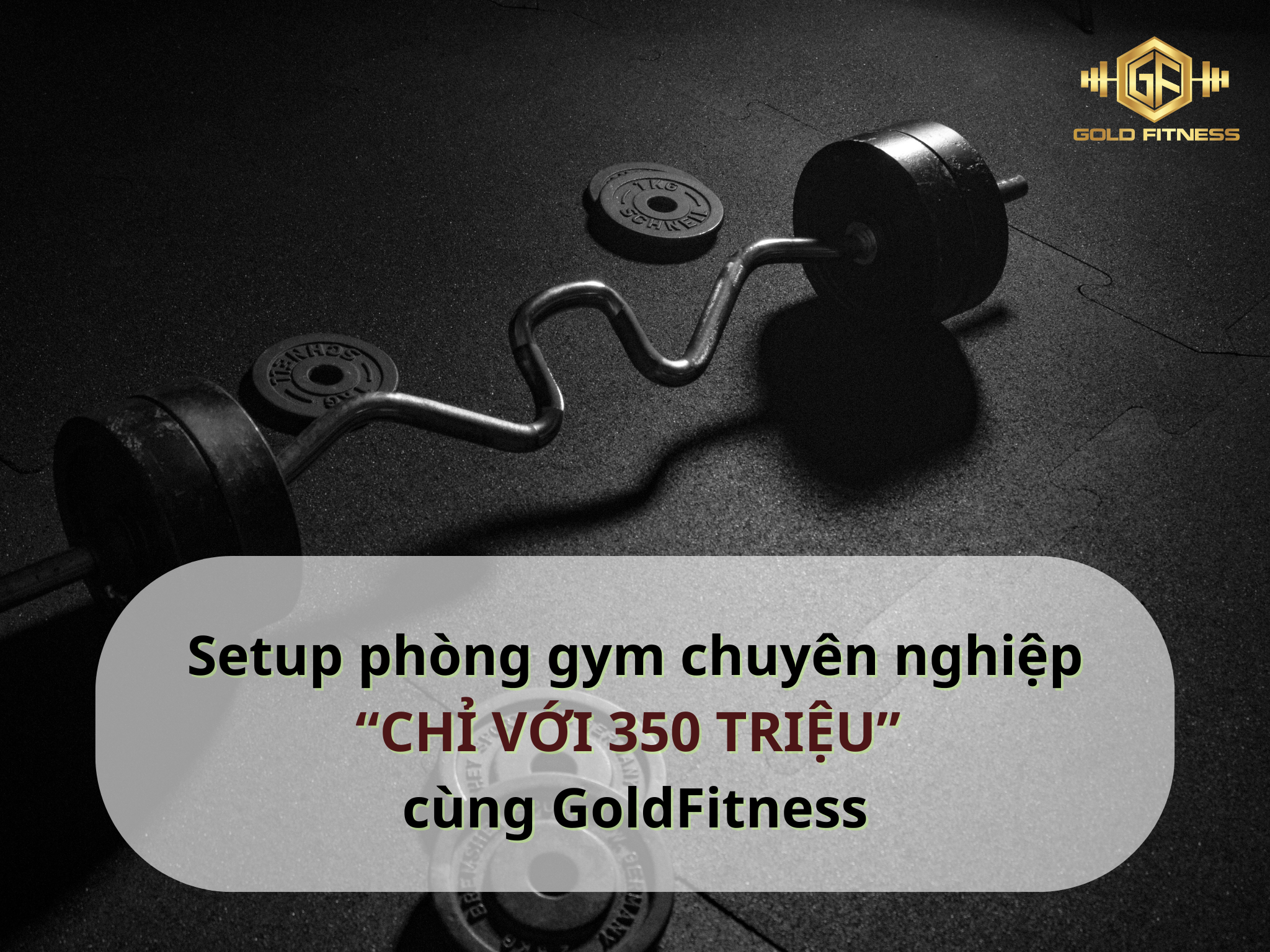 Setup phòng gym chuyên nghiệp 350 triệu