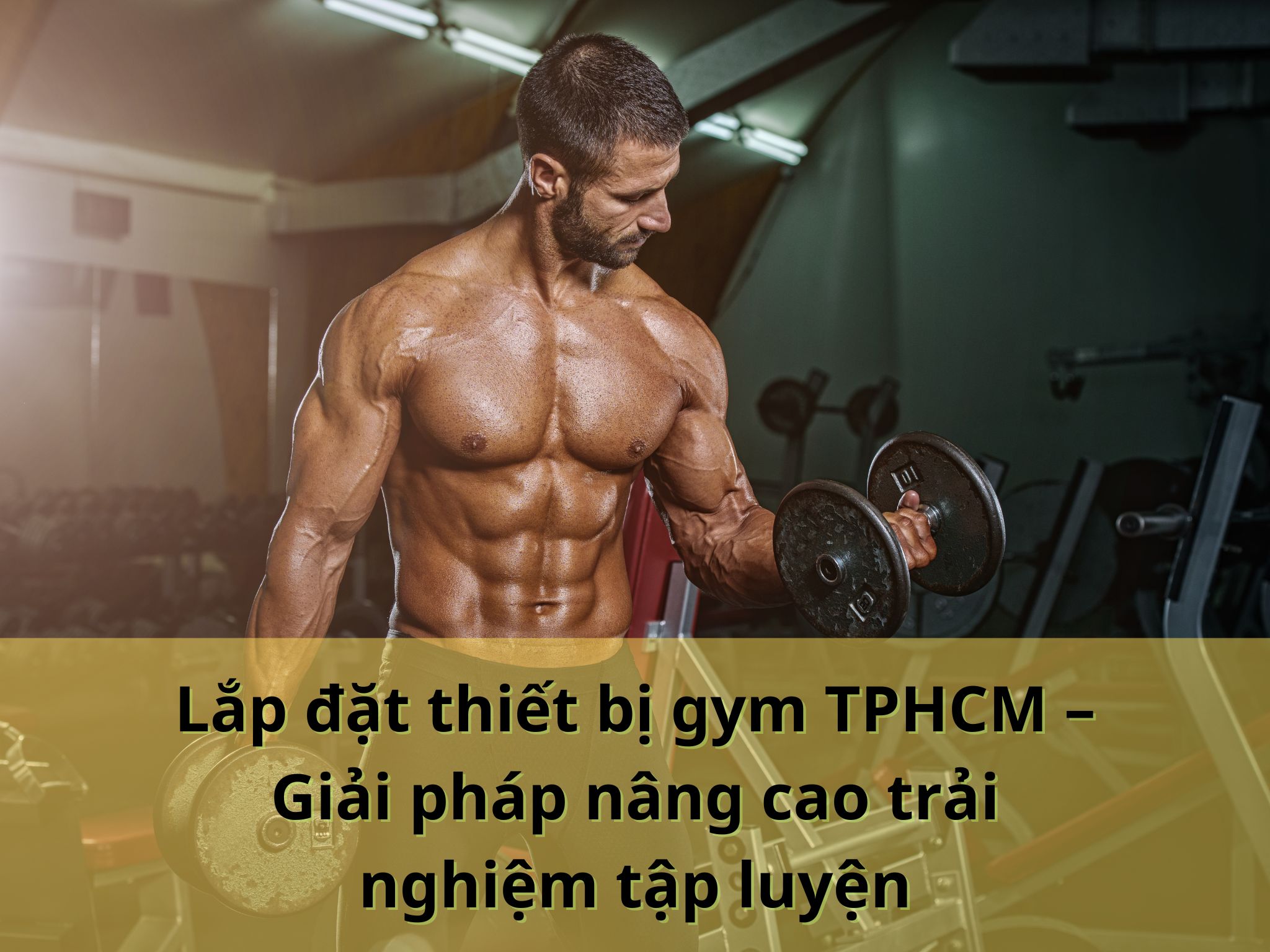 Lắp đặt thiết bị gym TPHCM – Giải pháp nâng cao trải nghiệm tập luyện