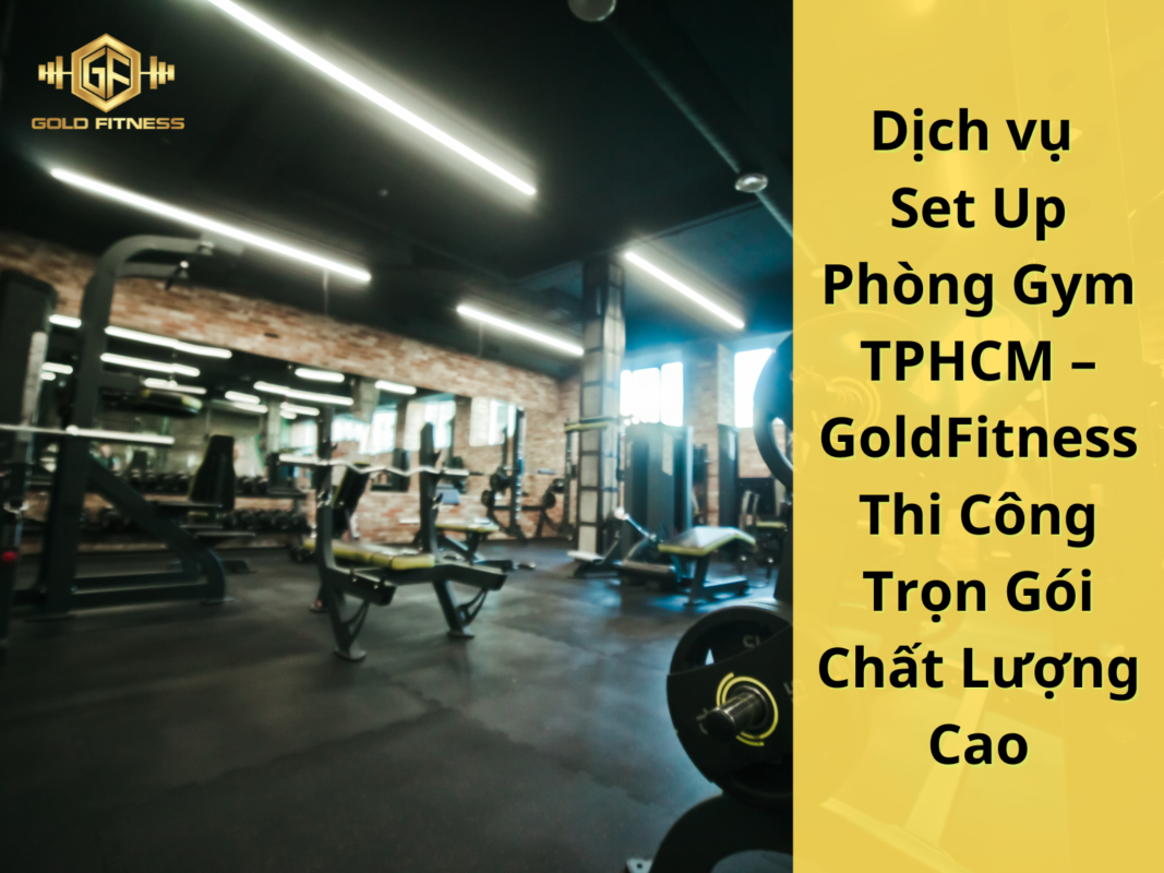 avt set up phòng gym tphcm