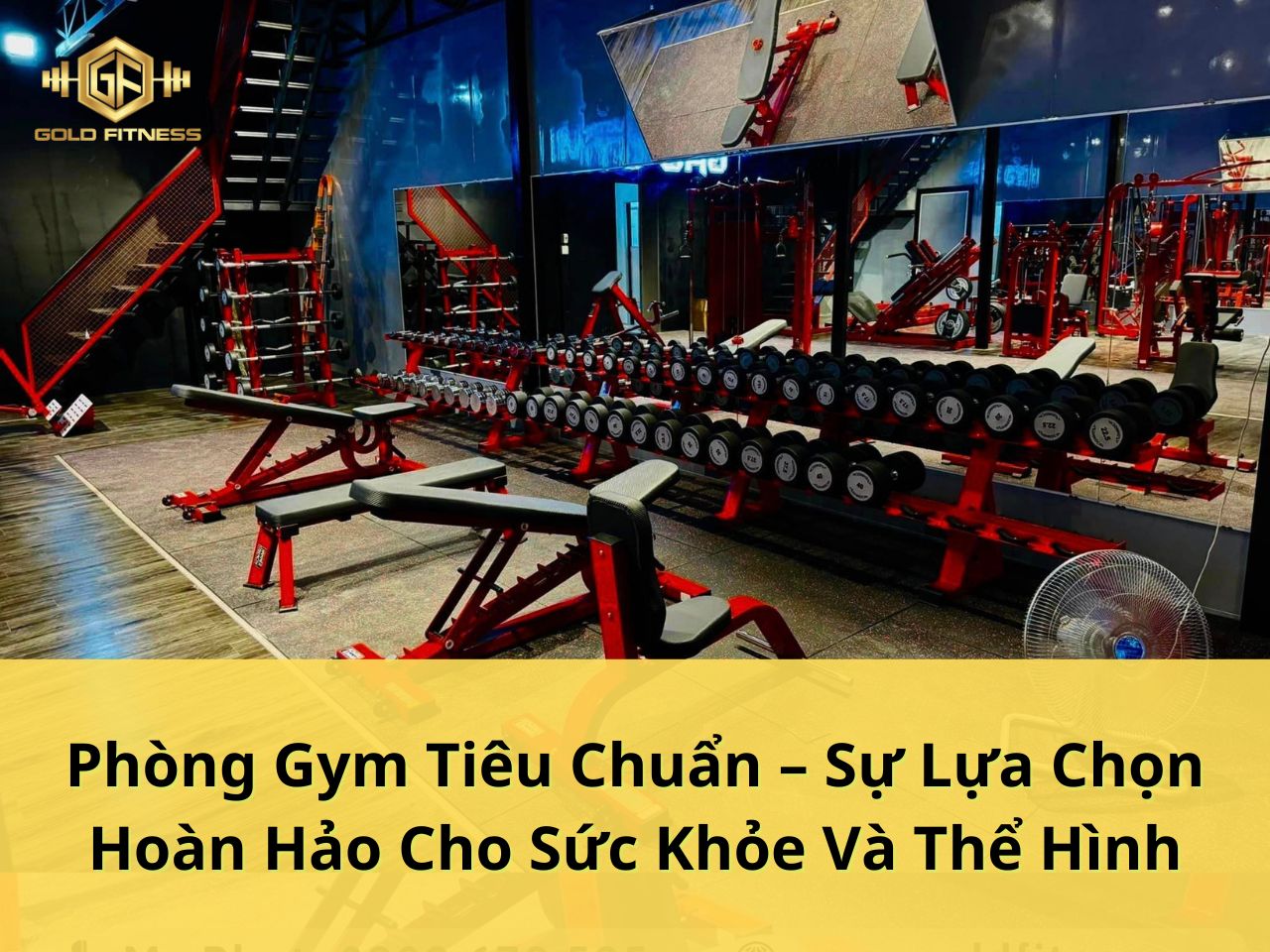 phòng gym tiêu chuẩn