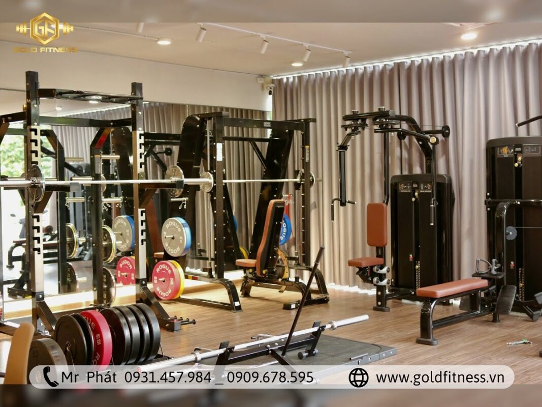 Giải pháp setup phòng tập gym chuyên nghiệp tại GoldFitness