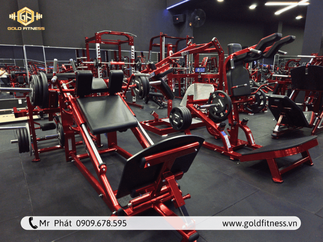 phòng tập gym gần đây chất lượng
