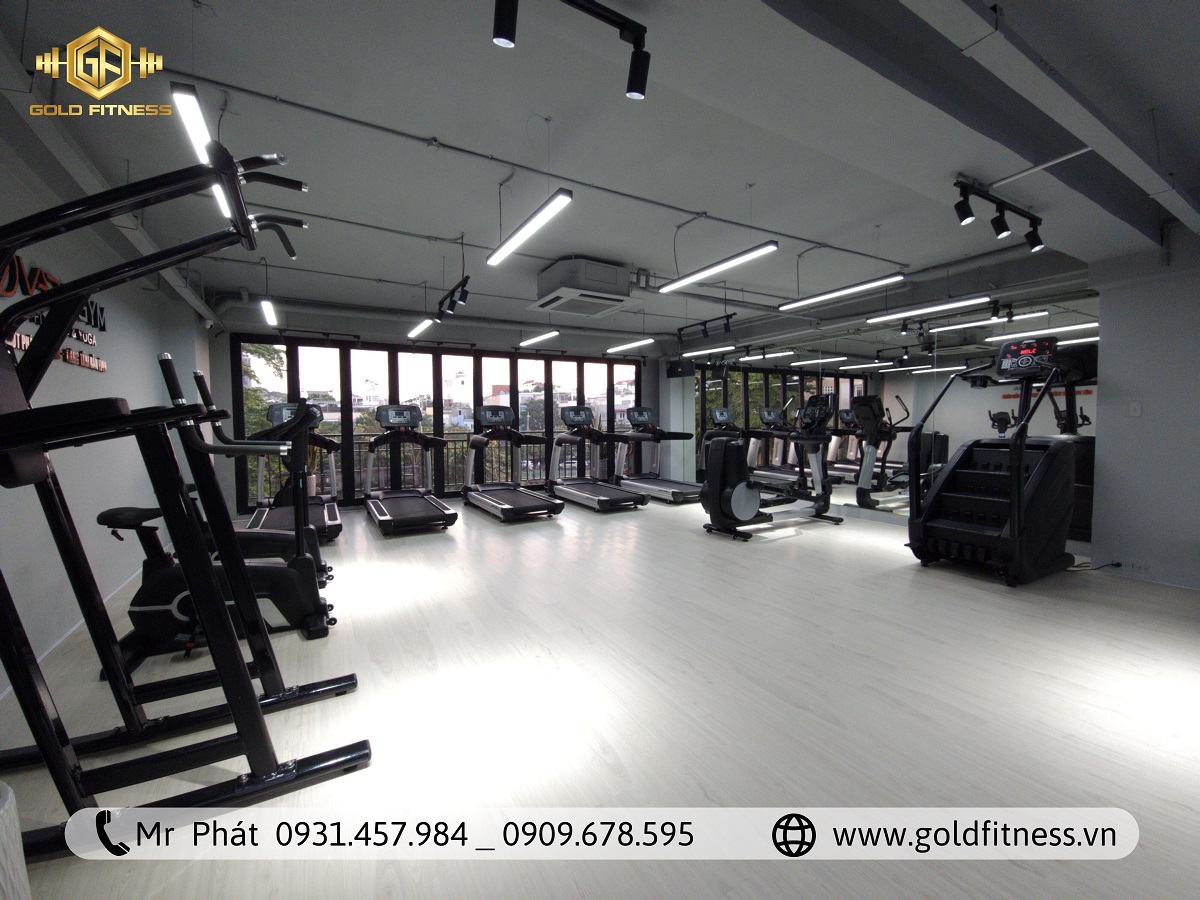 Thiết Kế Phòng Gym Cao Cấp: Nâng Tầm Thương Hiệu