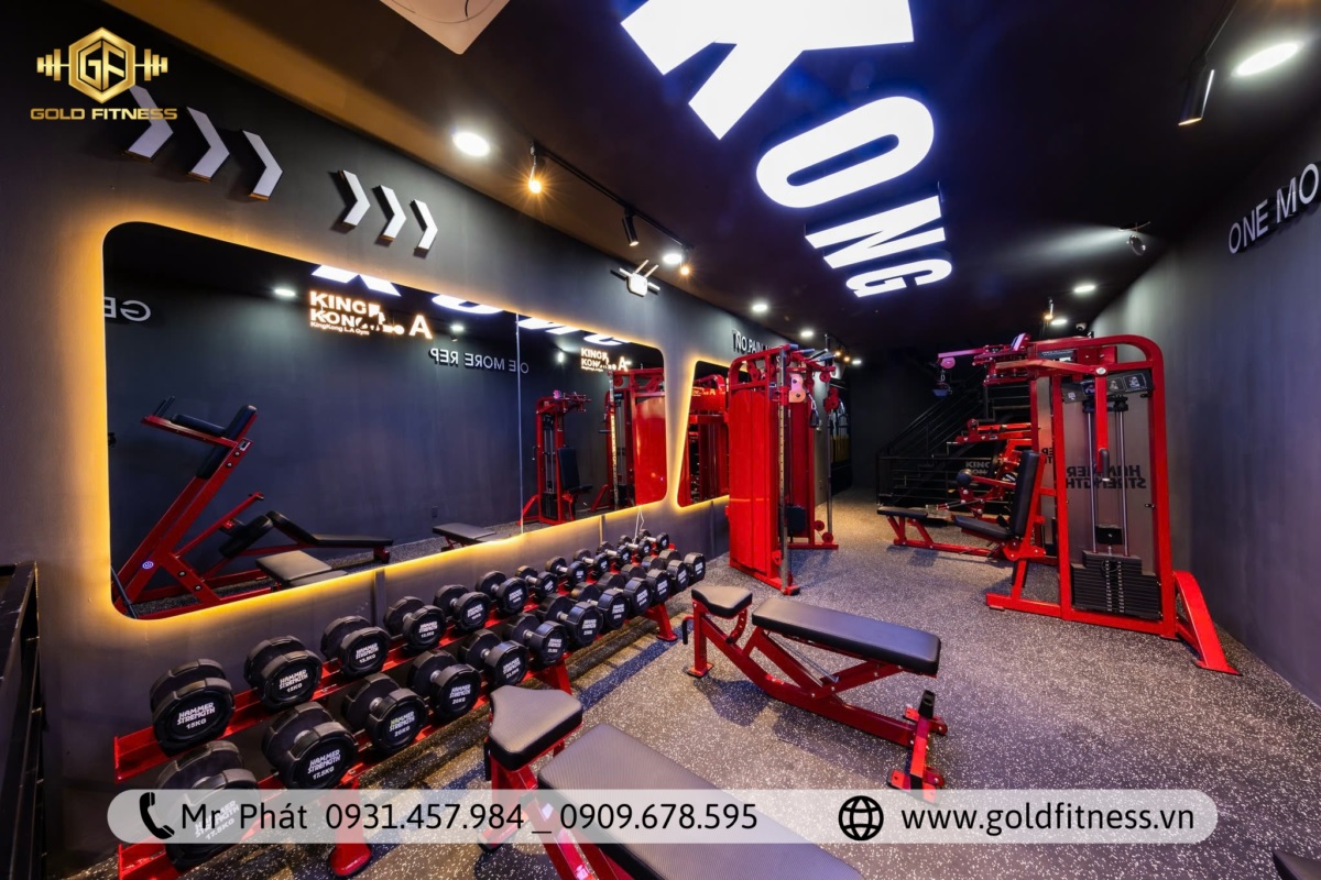 Thiết kế thi công phòng tập gym đạt tiêu chuẩn an toàn 