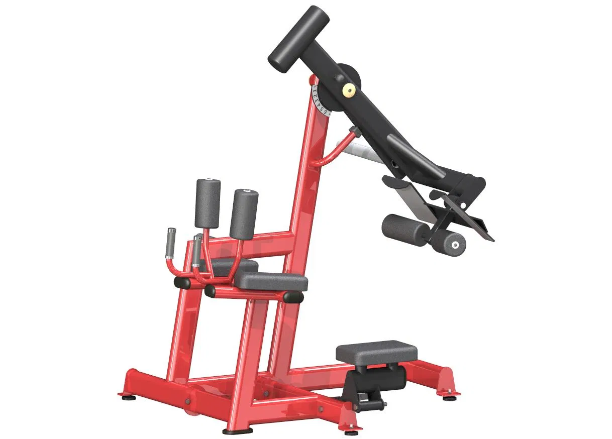 High-Quality-Gym-Fitness-Equipment-Rear-Kick-for-Sale-Axd-N43.webp