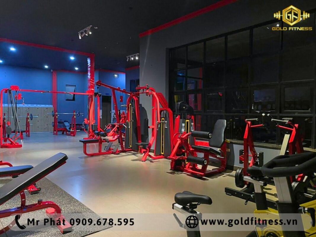 trang trí phòng gym đẹp truyền cảm hứng