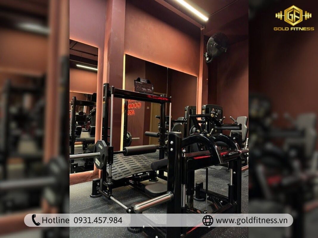 mẫu phòng tập gym