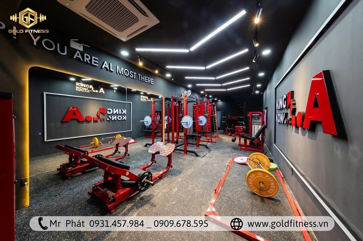 Setup phòng gym Powerlifting