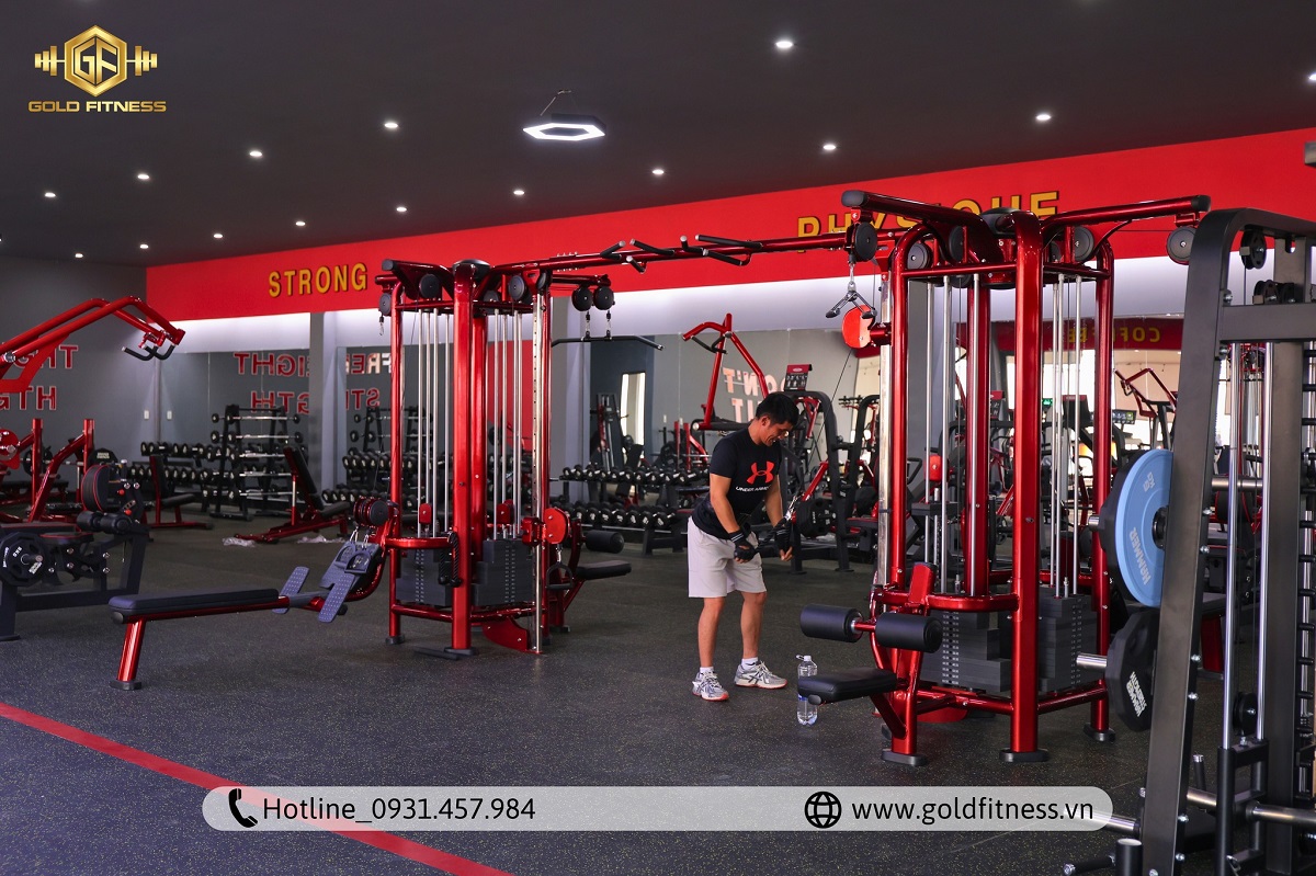 thiet-bi-phong-gym-rong-roc-cap-tai