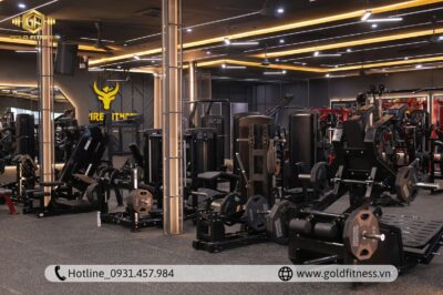 thiet-bi-gym-nhap-khau-mo-phong-gym-500m2 (1)